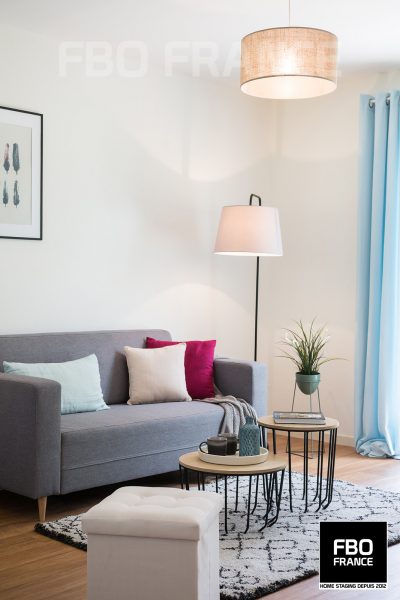 home staging séjour fbo france Paris appartement témoin